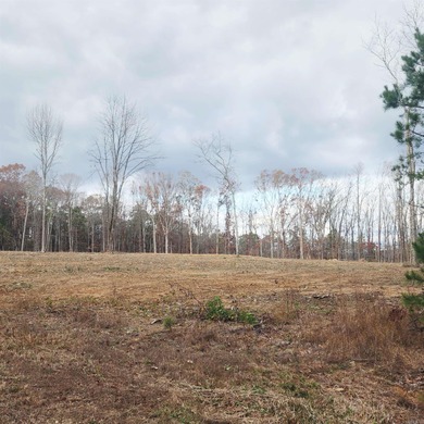 PRIME 10.82 Acres with NO RESTRICTIONS - Your Dream Property - photo 7
