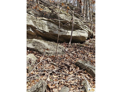 MOTIVATED!!! Make an offer!!! 19.29 Acres of Wooded Paradise - - photo 2