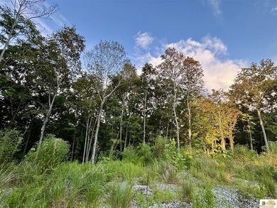 MOTIVATED!!! Make an offer!!! 19.29 Acres of Wooded Paradise - - photo 4