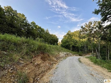 MOTIVATED!!! Make an offer!!! 19.29 Acres of Wooded Paradise - - photo 5