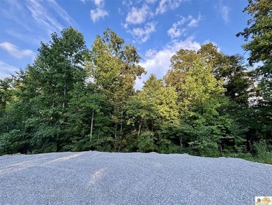 MOTIVATED!!! Make an offer!!! 19.29 Acres of Wooded Paradise - - photo 6