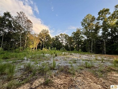 MOTIVATED!!! Make an offer!!! 19.29 Acres of Wooded Paradise - - photo 7