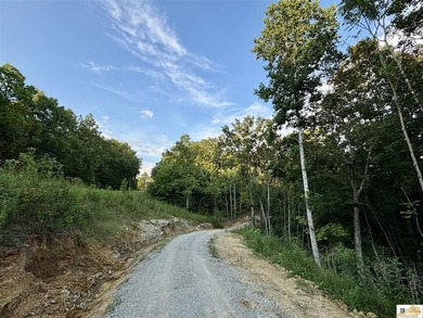 MOTIVATED!!! Make an offer!!! 19.29 Acres of Wooded Paradise - - photo 10