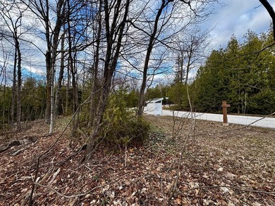 Welcome to lot 10 in highly desirable Liberty Park Bluff. The - photo 2