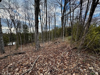 Welcome to lot 10 in highly desirable Liberty Park Bluff. The - photo 3