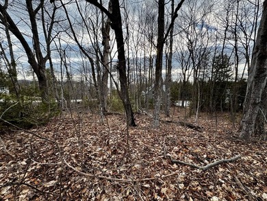 Welcome to lot 10 in highly desirable Liberty Park Bluff. The - photo 4
