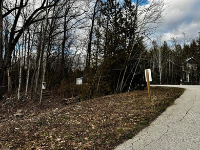 Welcome to lot 10 in highly desirable Liberty Park Bluff. The - photo 5