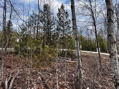 Welcome to lot 10 in highly desirable Liberty Park Bluff. The - photo 6