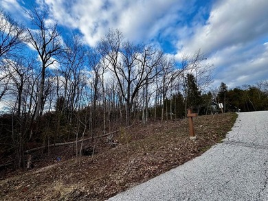 Welcome to lot 10 in highly desirable Liberty Park Bluff. The - photo 7