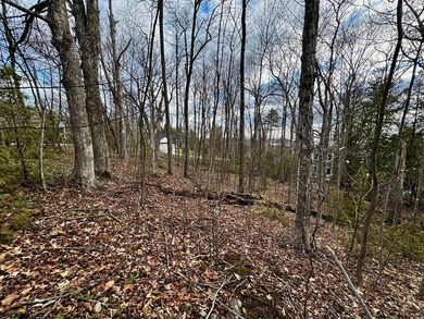 Welcome to lot 10 in highly desirable Liberty Park Bluff. The - photo 8