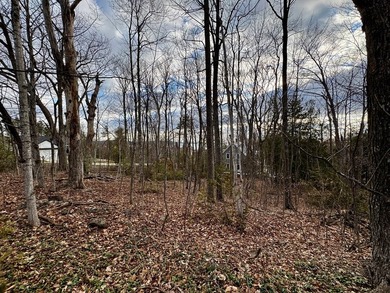 Welcome to lot 10 in highly desirable Liberty Park Bluff. The - photo 9