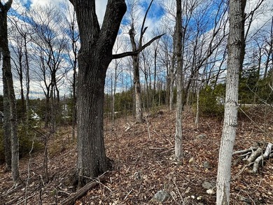 Welcome to lot 10 in highly desirable Liberty Park Bluff. The - photo 10