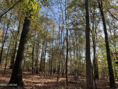 Lake Acreage For Sale in Cedar Grove, Tennessee