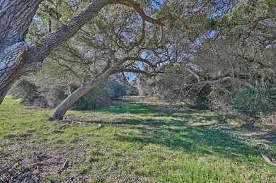 Located in Colorado County, centrally positioned between Houston - photo 11