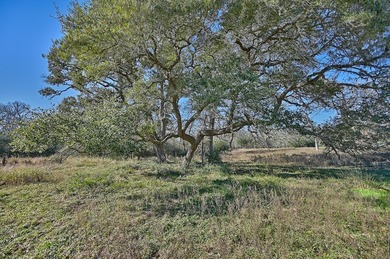 Located in Colorado County, centrally positioned between Houston - photo 16
