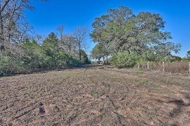 Located in Colorado County, centrally positioned between Houston - photo 17