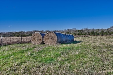 Located in Colorado County, centrally positioned between Houston - photo 19