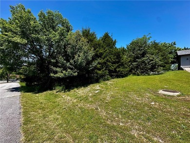 Rare lake view building opportunity on Holiday Island! This lush - photo 4