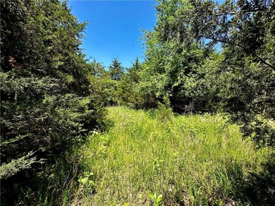 Rare lake view building opportunity on Holiday Island! This lush - photo 5