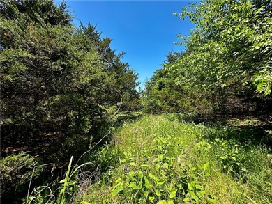 Rare lake view building opportunity on Holiday Island! This lush - photo 6