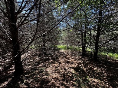 Rare lake view building opportunity on Holiday Island! This lush - photo 7