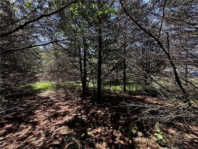 Rare lake view building opportunity on Holiday Island! This lush - photo 8