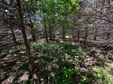 Rare lake view building opportunity on Holiday Island! This lush - photo 9