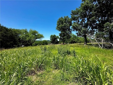 Rare lake view building opportunity on Holiday Island! This lush - photo 10