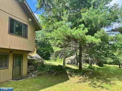 Lake Home For Sale in Cook, Minnesota