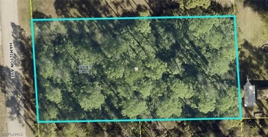 Lehigh Acres Area Lot For Sale in Alva Florida