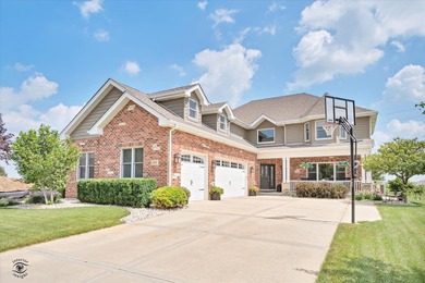 (private lake, pond, creek) Home For Sale in Manhattan Illinois