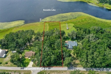 Lake Lot For Sale in Dunnellon, Florida