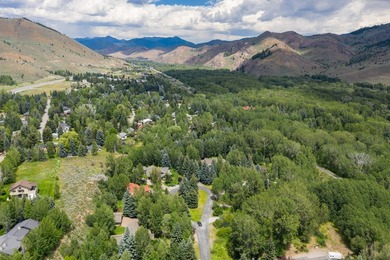 This charming home is a jewel on a mature one-acre lot. The - photo 33