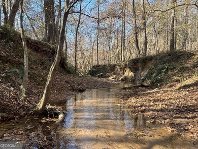 Lake Acreage For Sale in Buckhead, Georgia