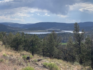 Prineville Reservoir Acreage For Sale in Prineville Oregon