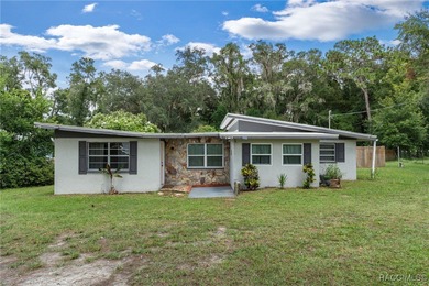 Tsala Apopka Chain of Lakes Home Sale Pending in Inverness Florida