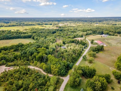 Lake Acreage For Sale in Allegan, Michigan