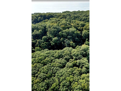 Lake Michigan - Ottawa County Acreage For Sale in Grand Haven Michigan