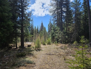 Lake Acreage Sale Pending in Kalispell, Montana