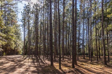 This exceptional 10.98-acre estate lot with 230 feet of - photo 18