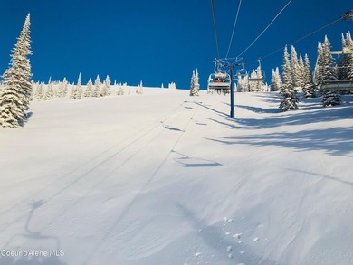 Perched on the slopes of Schweitzer Mountain, this - photo 29