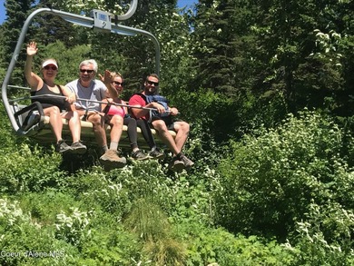 Perched on the slopes of Schweitzer Mountain, this - photo 30