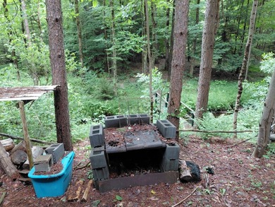 How cool is this!! 1.6 Acres of woods and privacy! You can get - photo 6