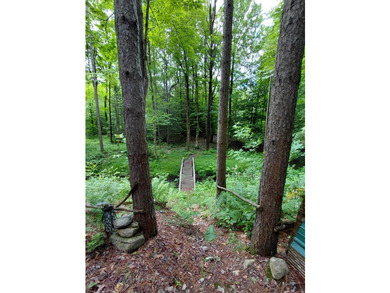 How cool is this!! 1.6 Acres of woods and privacy! You can get - photo 10