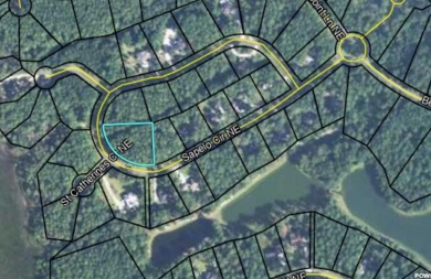 South Newport River - McIntosh County Lot For Sale in Townsend Georgia