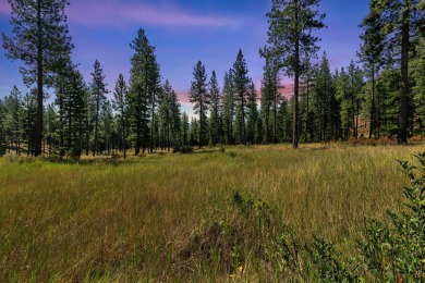Clark Fork River Lot For Sale in Alberton Montana