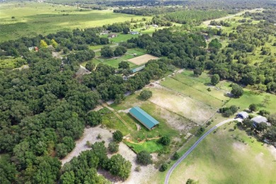 OWNER FINANCING AVAILABLE...PROFITABLE HORSE FARM or POTENTIAL - photo 14