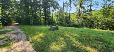 (private lake, pond, creek) Acreage For Sale in Jefferson Texas