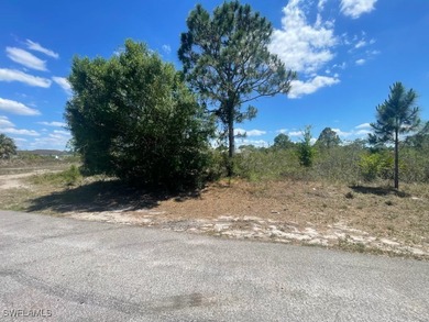 Lehigh Acres Area Lot For Sale in Lehigh Acres Florida
