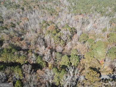 Lake Acreage For Sale in Buckhead, Georgia